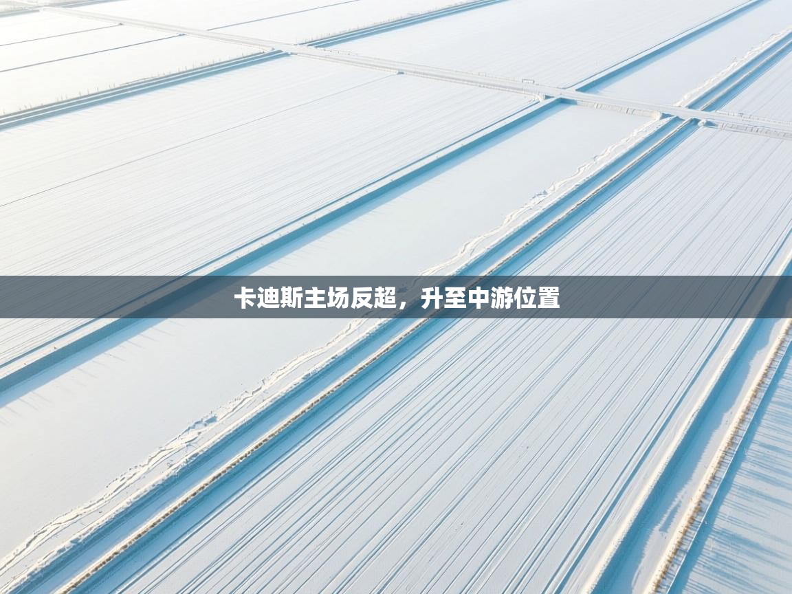 卡迪斯主场反超,升至中游位置 第2张