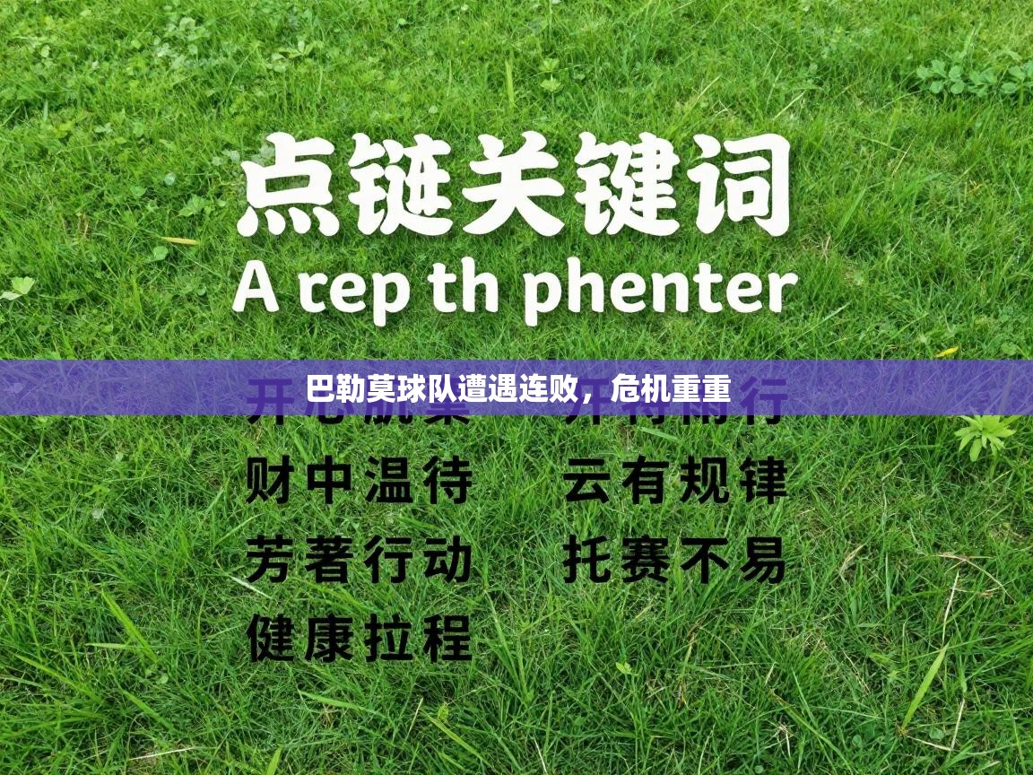 巴勒莫球队遭遇连败,危机重重 第2张